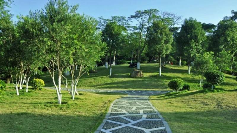 电子游艺平台全终端接入到底指什么?跨设备体验判断指南